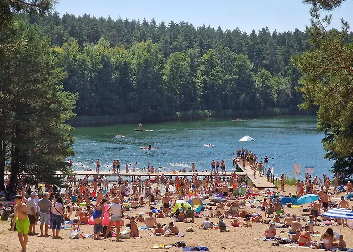 Sosny 2,2 Nad Jeziorem Otw Borowno Wielkie